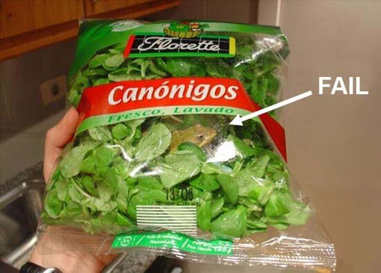 saladfail.jpg